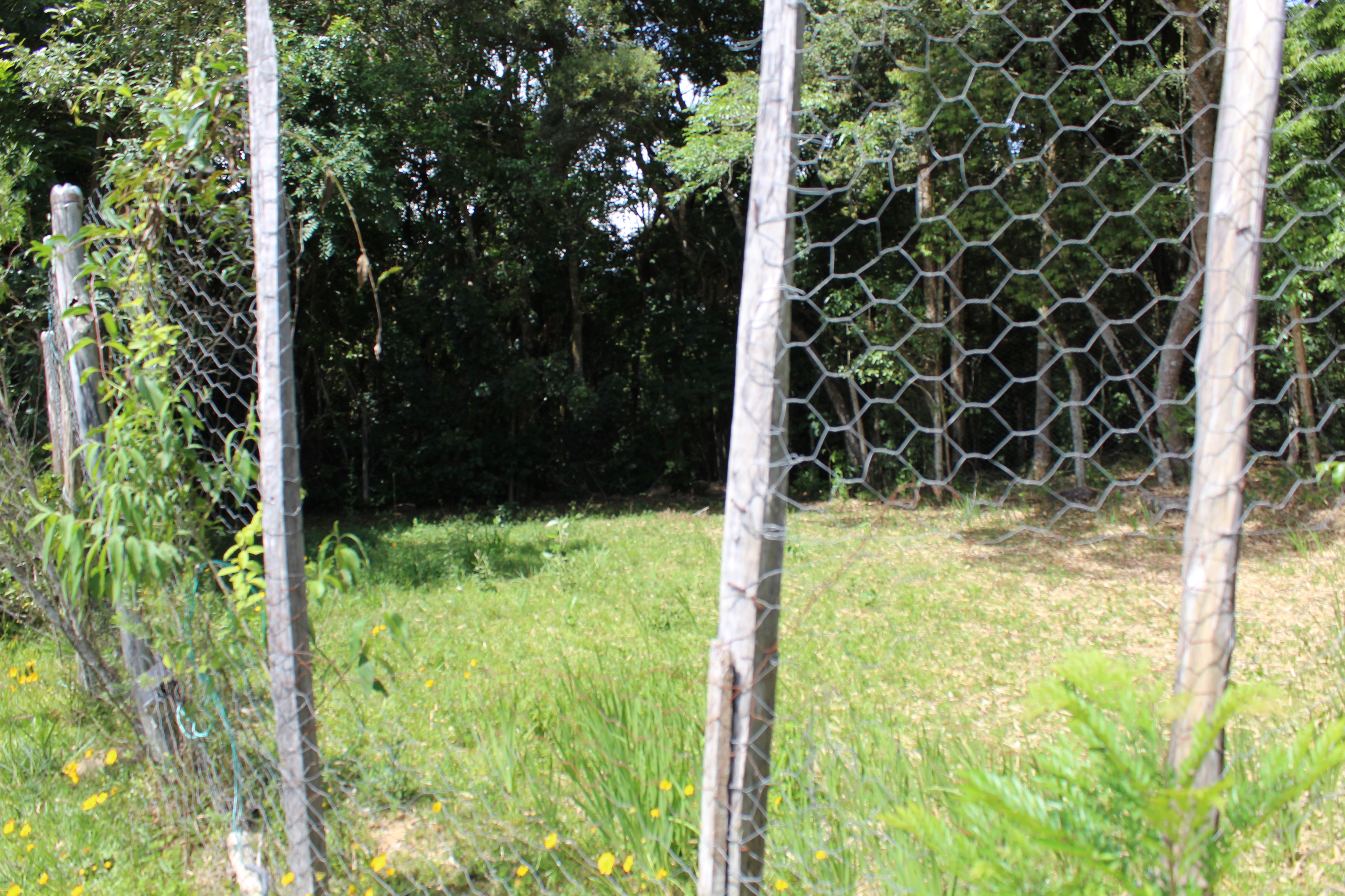 Campo Futebol