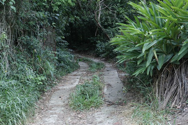 Entrada
