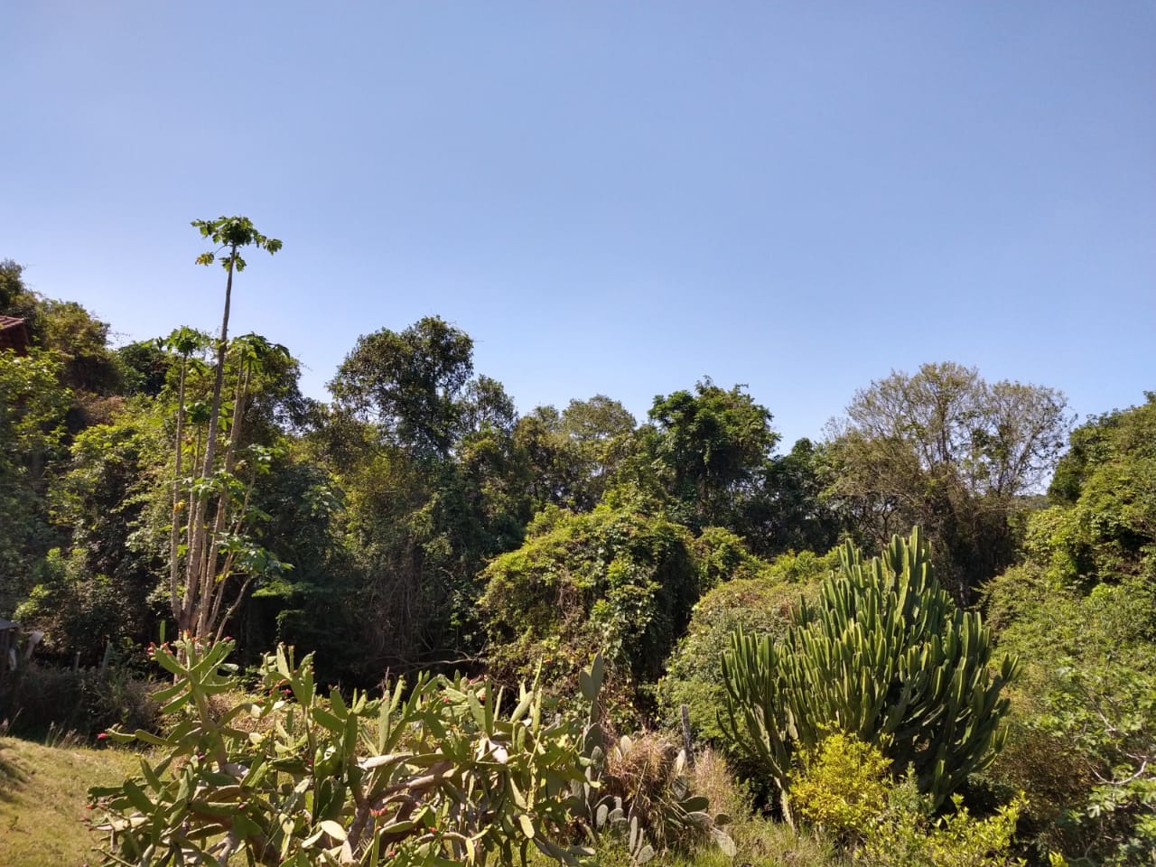 Paisagem