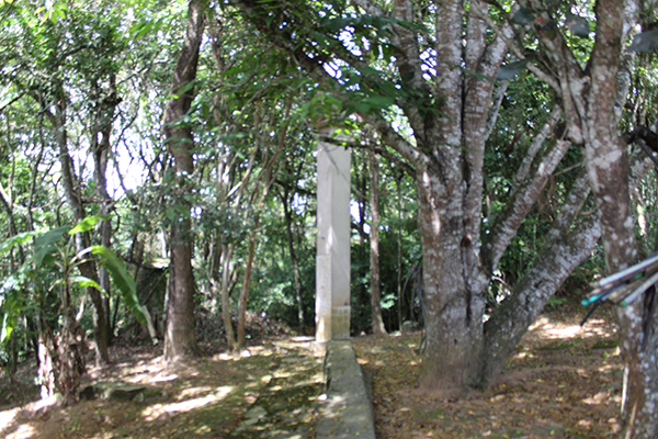 imagem sitio